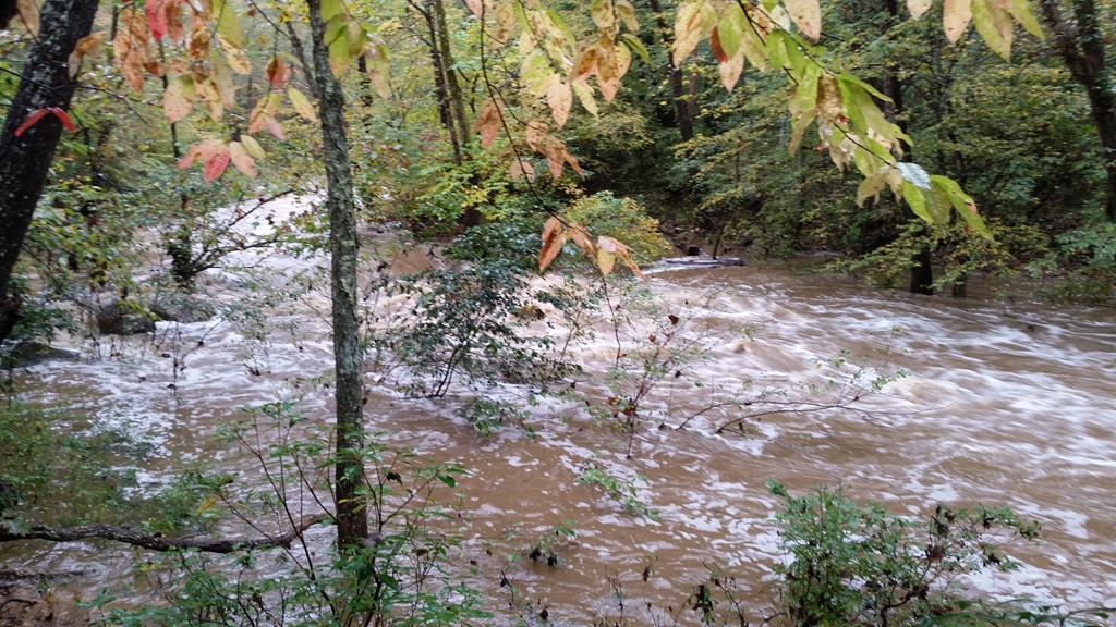 Creek flooding near the cabin site after heavy rain
